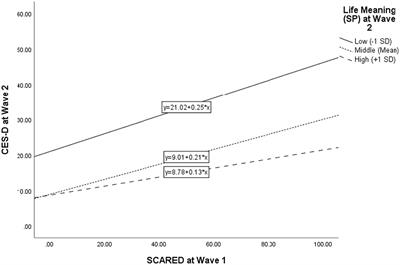 The relationship between anxiety and depression under the pandemic: The role of life meaning